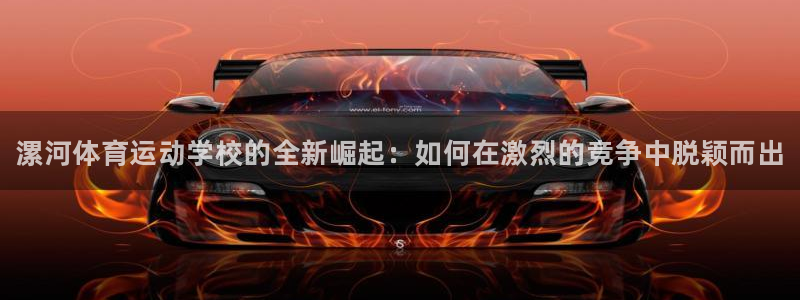 MK体育官方正版app科技:漯河体育运动学校的全新崛起:如何