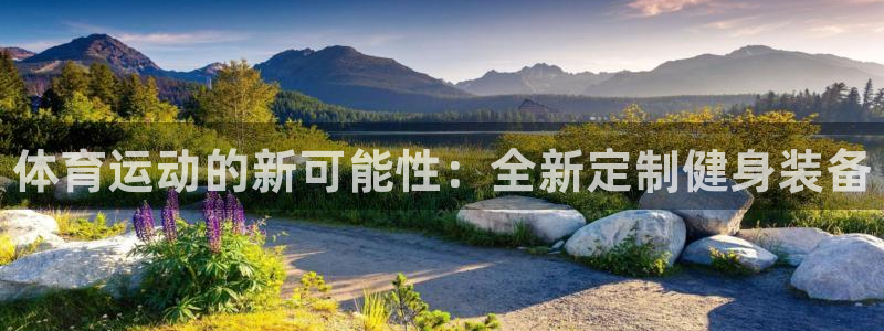 MK体育官网下载是干嘛的公司:体育运动的新可能性:全新定制健