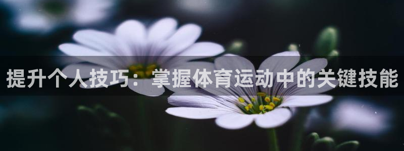 MK体育官网下载招商电话号码是多少:提升个人技巧:掌握体育运