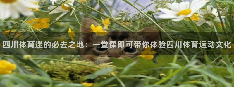 MK体育官方正版app官网:四川体育迷的必去之地:一堂课即可